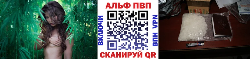 Alfa_PVP СК  закладки  Бирск 