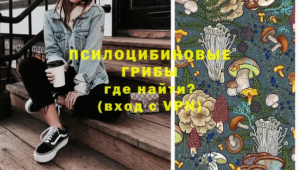 СК Балахна