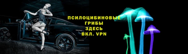СК Балахна