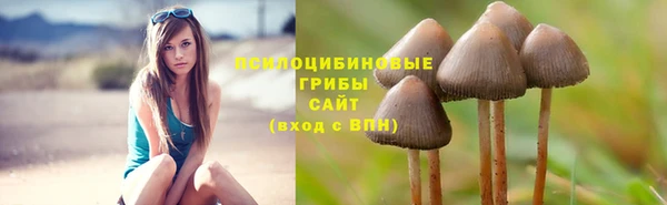 мяу мяу кристалл Сафоново