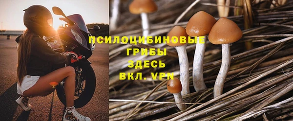 СК Балахна