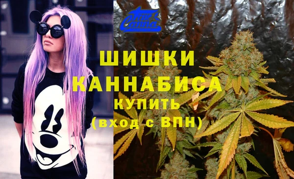 СК Балахна