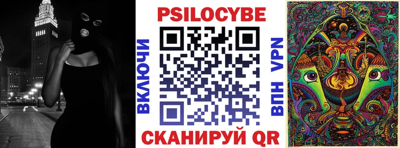 Псилоцибиновые грибы Psilocybe Бирск