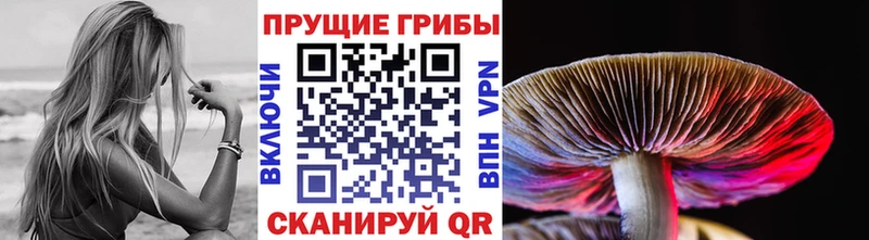 Галлюциногенные грибы мухоморы  Бирск 