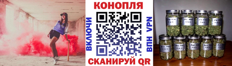 KRAKEN   Бирск  Марихуана индика 